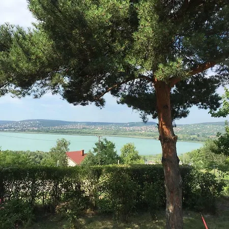 Szegfu Apartmanhaz *